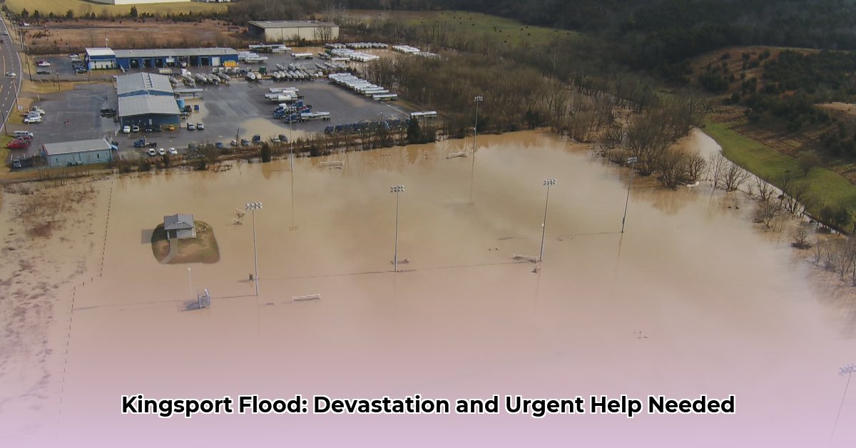 kingsport-flood